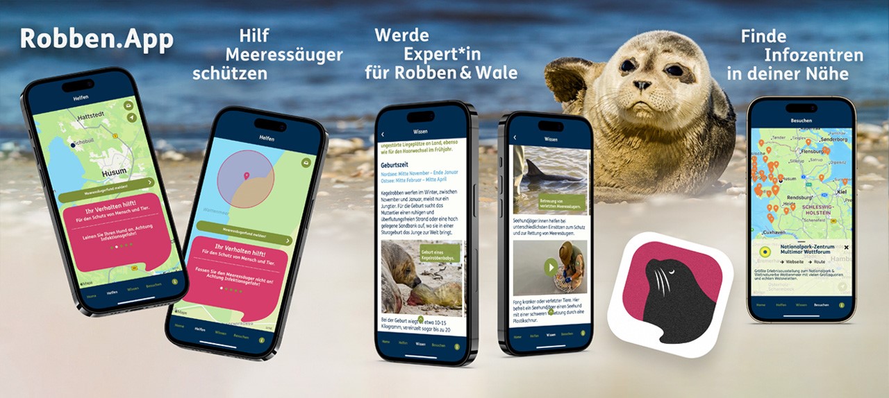 Robben.App