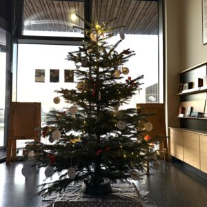 Weihnachtsaktion_03